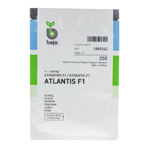 Насіння огірка Атлантіс F1 | Atlantis F1 Bejo 250 насінин